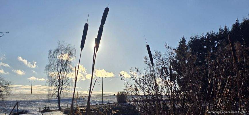 Besuch bei Johannes Hoffrohne am 4. Januar 2026