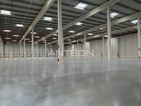 Oberhausen Halle, Oberhausen Hallenfläche