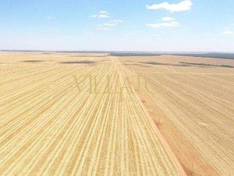 Querência Büros, Büroräume, Büroflächen 