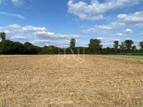 Grevenbroich Bauernhöfe, Landwirtschaft, Grevenbroich Forstwirtschaft