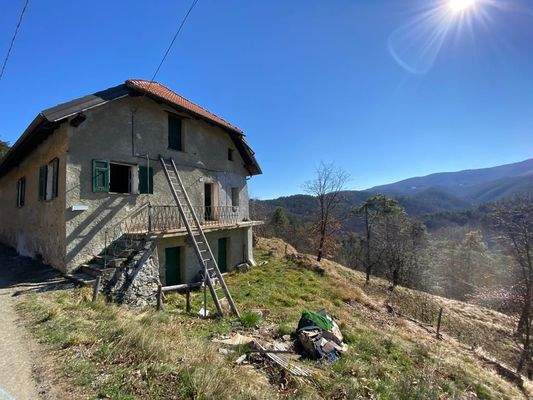 WhatsApp Image 2022-02-27 at 12.13.02.jpeg