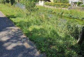 Lauchert vom Grundstück aus