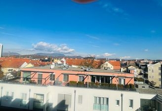 PHOTO-2025-11-10-12-29-15 (2).jpg