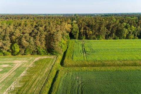 Jerichow Bauernhöfe, Landwirtschaft, Jerichow Forstwirtschaft