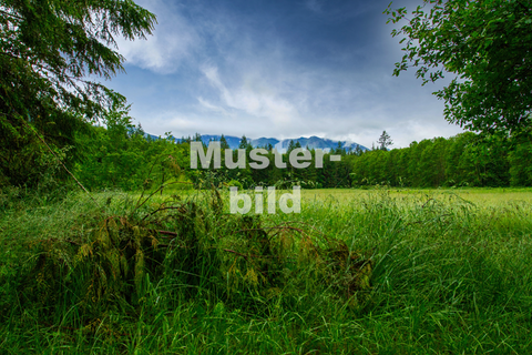 Lahr/Schwarzwald-Mietersheim Bauernhöfe, Landwirtschaft, Lahr/Schwarzwald-Mietersheim Forstwirtschaft