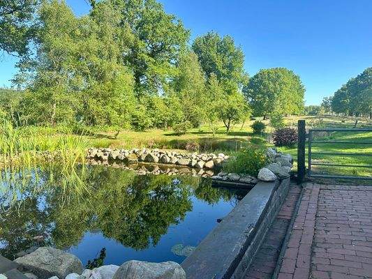 Blick auf die Weiden