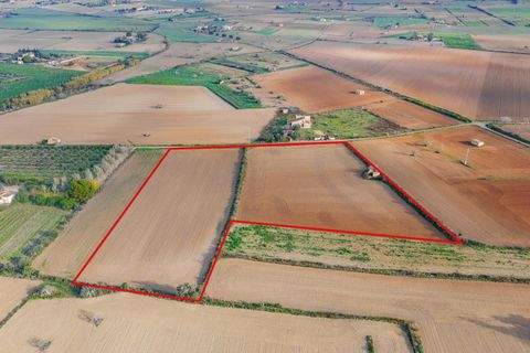 LLORET DE VISTALEGRE Grundstücke, LLORET DE VISTALEGRE Grundstück kaufen