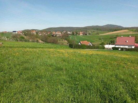 WhatsApp Image 2024-04-25 at 15.54.18 (3)