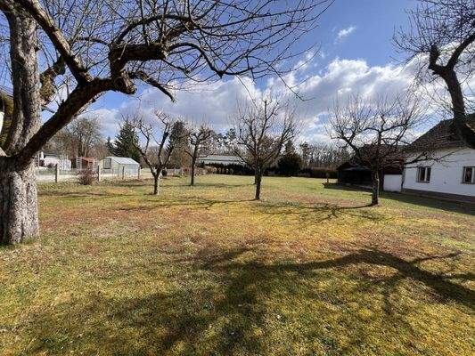 Parkähnliches Grundstück mit etabliertem Baumbestand und vielfältigen Nutzungsmöglichkeiten