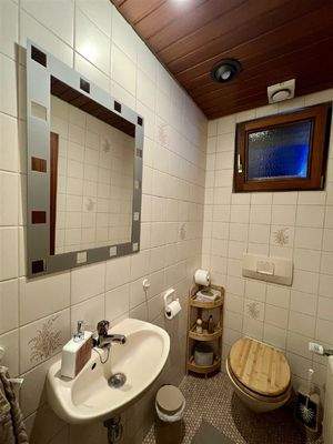 Tageslicht-Gäste-WC DG