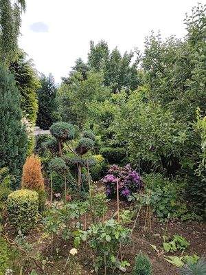 2025-06-11-12-12-14-481 (Large).jpg