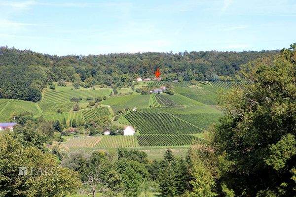 Mitten in den Weinbergen 