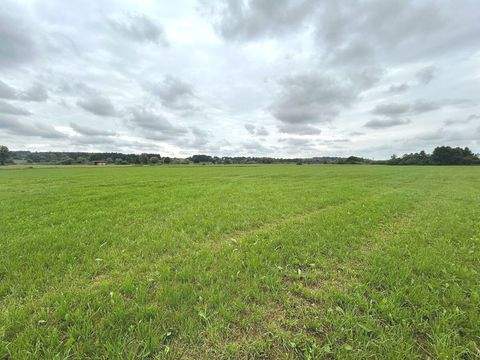 Kettershausen-Zaiertshofen Bauernhöfe, Landwirtschaft, Kettershausen-Zaiertshofen Forstwirtschaft