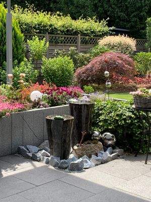 Sommerimpression 2025