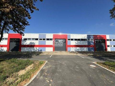 Göttingen Halle, Göttingen Hallenfläche