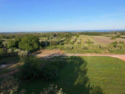 Brtonigla Bauernhöfe, Landwirtschaft, Brtonigla Forstwirtschaft