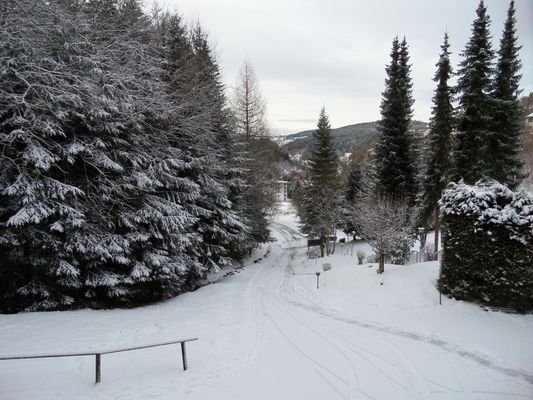 Natur Pur!