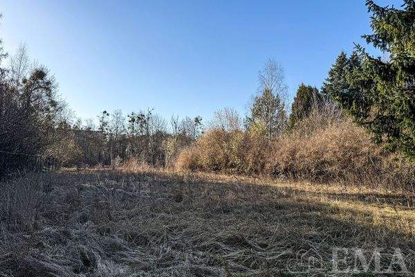 Blick vom Grundstück 