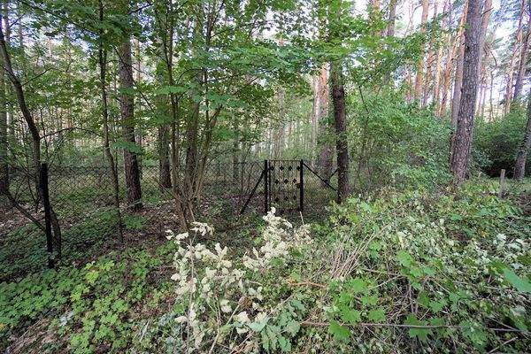 Auf dem Grundstück (1).jpg