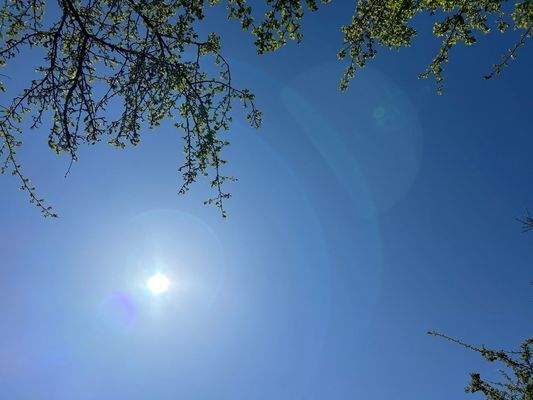 Sonnenverwöhntes Grundstück