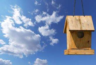 blauer Himmel und Vogelhaus