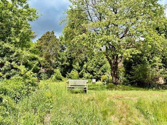 Platz zum Träumen