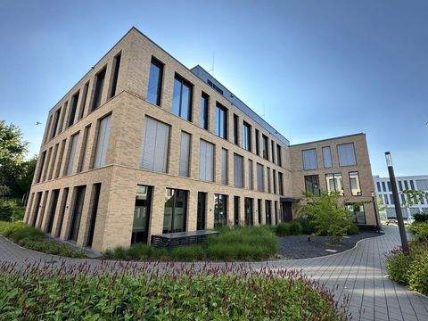 Münster Halle, Münster Hallenfläche