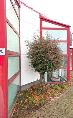 Fassade - Teilansicht Front