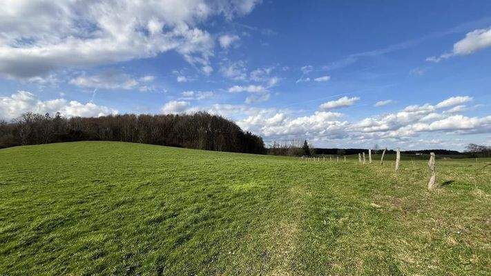 Natur vor der Tür Starnberg
