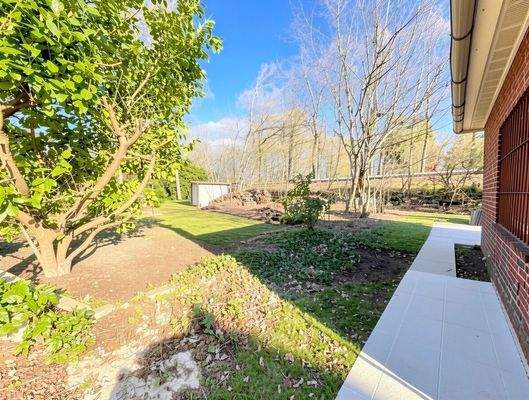 Blick auf das Grundstück (KI-optimiert)