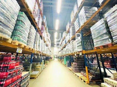 Mönchengladbach Halle, Mönchengladbach Hallenfläche