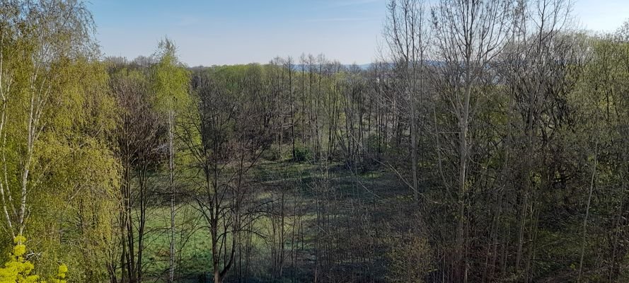 Ausblick