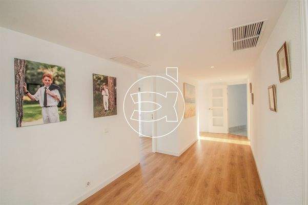 Hervorragendes Objekt