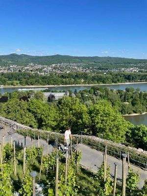 Blick vom Rolandsbogen, Rheinblick  
