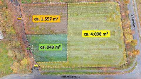 Trittau Industrieflächen, Lagerflächen, Produktionshalle, Serviceflächen