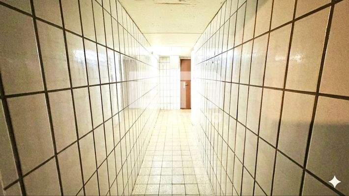 EG Zugang Nutzraum / Flur / Diele