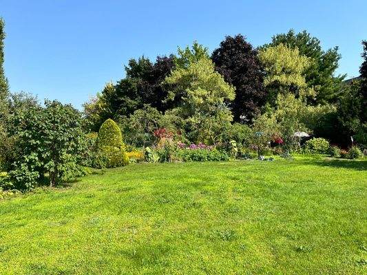 PHOTO-2025-10-09-08-36-39 (3).jpg