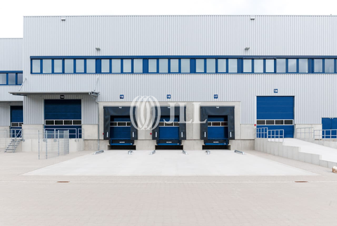 Neuss Halle, Neuss Hallenfläche