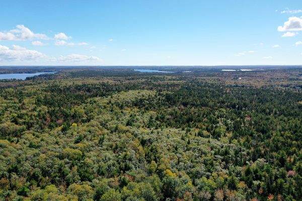 Luftbild vom akadischen Wald in Nova Scotia 