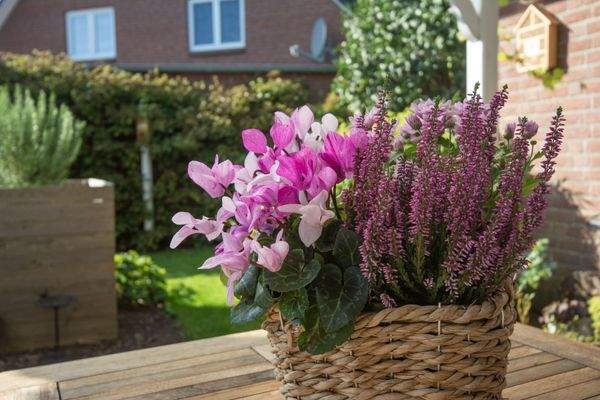 Viel Liebe zum Detail