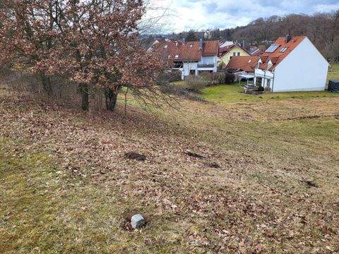 Grafrath Bauernhöfe, Landwirtschaft, Grafrath Forstwirtschaft