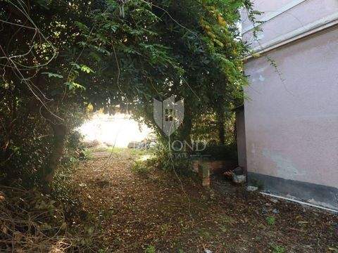 Center Bauernhöfe, Landwirtschaft, Center Forstwirtschaft