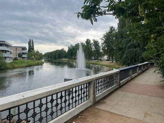 Werreufer in der Nähe