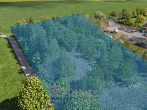 Mühlau Industrieflächen, Lagerflächen, Produktionshalle, Serviceflächen