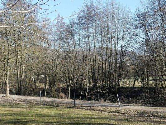 Blick aufs Weiberle.JPG