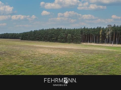 Klüden Bauernhöfe, Landwirtschaft, Klüden Forstwirtschaft