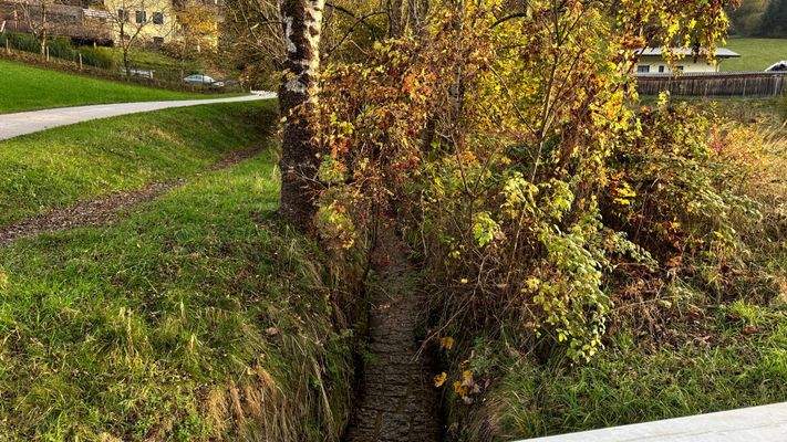Bachlauf am Rand des Grundstückes