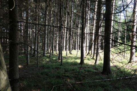 Reisbach-Anterskofen Bauernhöfe, Landwirtschaft, Reisbach-Anterskofen Forstwirtschaft