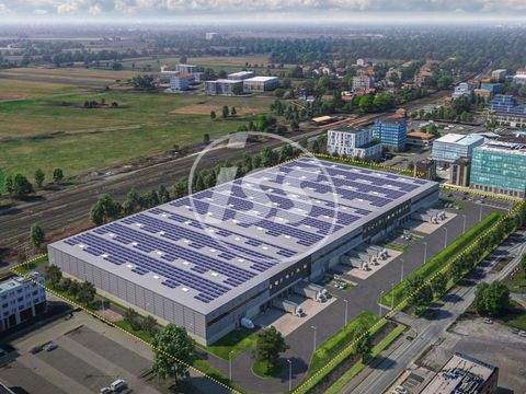 Gifhorn Halle, Gifhorn Hallenfläche