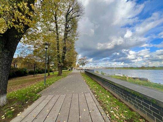 Spazieren gehen, joggen..